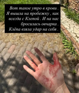 05f3854717cbf220d23796ff7409a5be.jpg