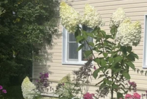 9119b3a663382b7d11ef3b55e6a0c2bf.webp